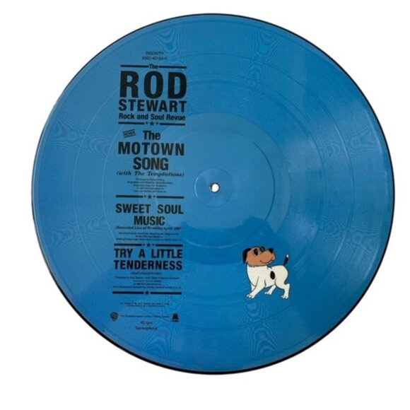 LE ROD STEWART Picture Disc Vinyl Album | Record Released 1991 British Rock Musi - Picture 4 of 4